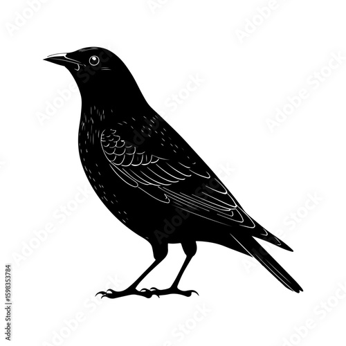 Minimalist Black Bird Illustration on White Background – Vector Art, crow on a branch