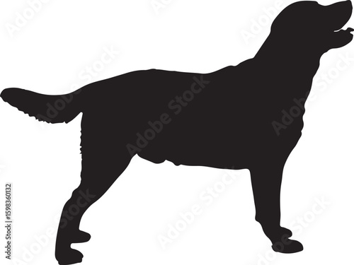 silhouettes of dogs, dog silhouette vector, animal, silhouette, vector, dog, horse, illustration, cat, mammal, pet, animals, nature, farm, black, art, cartoon, icon, wild, running, deer, design, silho