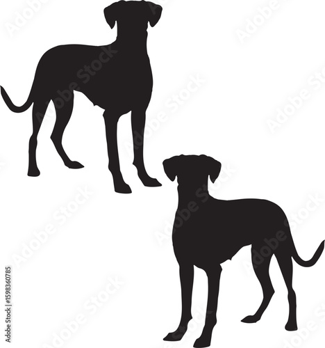 silhouettes of dogs, dog silhouette vector, animal, silhouette, vector, dog, horse, illustration, cat, mammal, pet, animals, nature, farm, black, art, cartoon, icon, wild, running, deer, design, silho