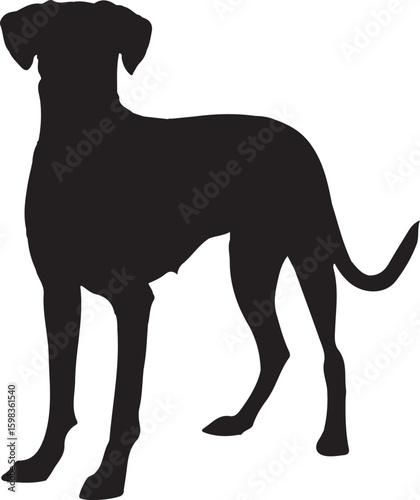 silhouettes of dogs, dog silhouette vector, animal, silhouette, vector, dog, horse, illustration, cat, mammal, pet, animals, nature, farm, black, art, cartoon, icon, wild, running, deer, design, silho