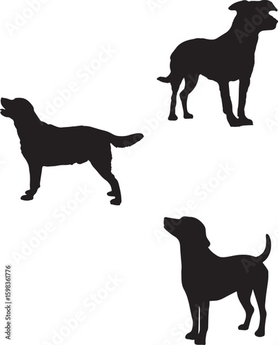 silhouettes of dogs, dog silhouette vector, animal, silhouette, vector, dog, horse, illustration, cat, mammal, pet, animals, nature, farm, black, art, cartoon, icon, wild, running, deer, design, silho