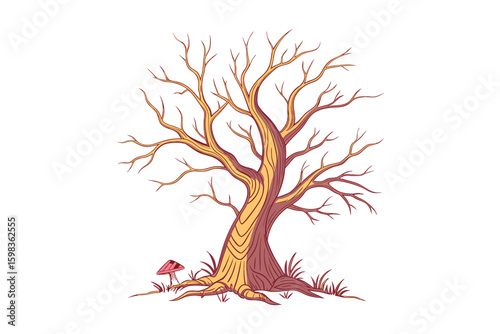 Detailed illustration of a bare deciduous tree with intricate branches and a textured trunk isolated on white background silhouette