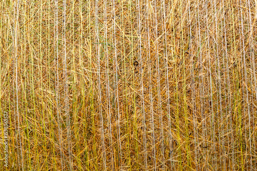 Texture Cool two bales of hay in the field. Close-up.