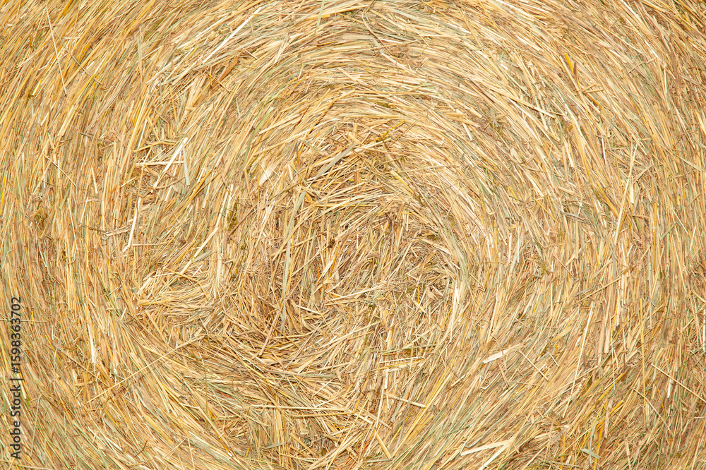 Texture Cool two bales of hay in the field. Close-up. Texture Cool two bales of hay in the field. Close-up.