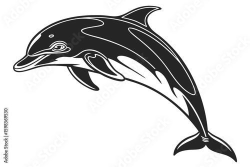 dolphin sihouette black vector
