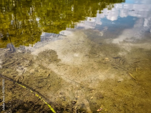 Fotografie A body of water with a reflection of trees in the water