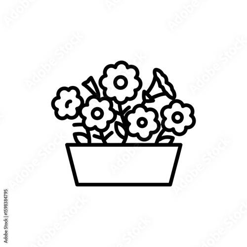 Outline drawing of petunias in flowerbed in minimal style
