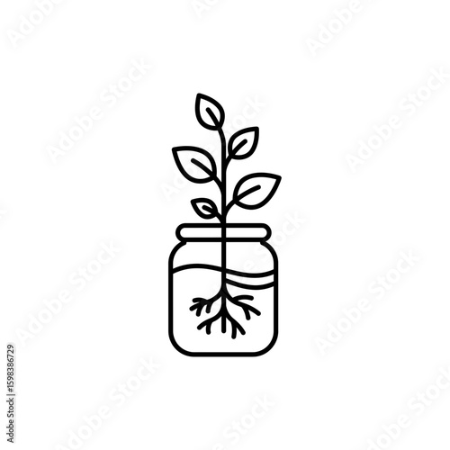 Outline Icon of Rooting in Water Jar