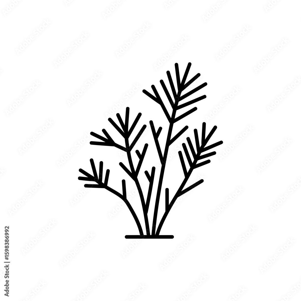 Fototapeta premium Thin Line of Savannah Shrub Minimal Botanical Drawing