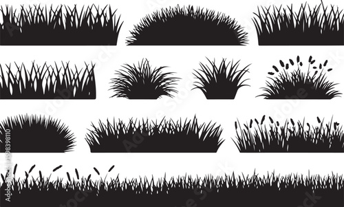 Black grass silhouettes with cattails white nature