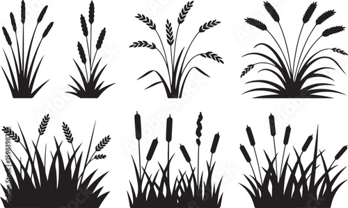Black silhouettes of cattails and wheat stalks grass reeds