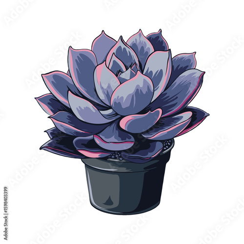 Artistic depiction of a colorful succulent plant Echeveria with vibrant blue and red hues in a planter, isolated on a clean white background