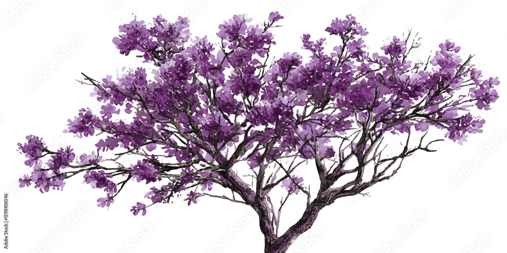 Fototapeta premium Rain tree isolated on white background.Tropical tree. Tree and roots vector, tree with round shape