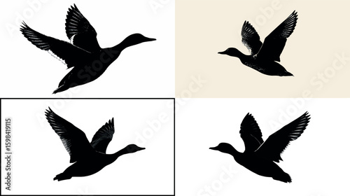 Flying duck silhouette waterfowl bird flight animal nature wildlife black and white avian wings art design