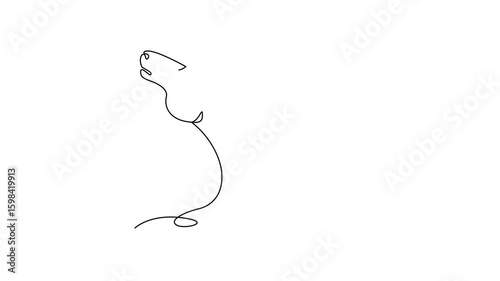Horse head animated self drawing of single continuous line, continuous contour movement, video drawing of line in 4k, abstract, logo, symbol of year, one line