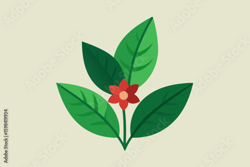botanical blend 