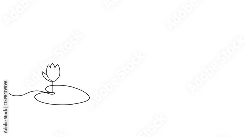 Lotus flowers on the leaves of water lilies, animated self drawing of single continuous line, contour movement, video drawing line in 4k, abstract, minimalism, natural aesthetics, one line