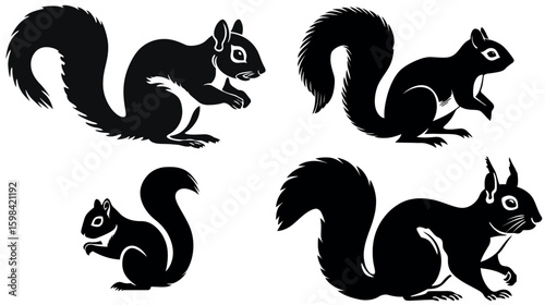 Cute squirrel vector illustration black squirrel animal silhouette squirrel design squirrel art wild animal