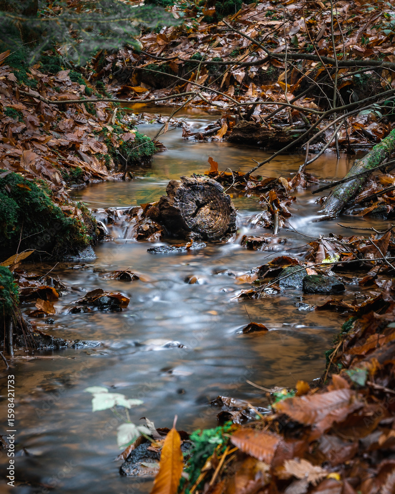 Enchanted Autumn Forest Stream – Long Exposure Water Flowing Through Fallen Leaves, Mossy Rocks & Woodland Branches. Enchanted Autumn Forest Stream – Long Exposure Water Flowing Through Fallen Leaves, Mossy Rocks & Woodland Branches.