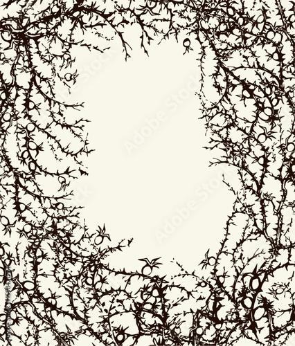 Branches of Blackthorn. Vector drawing