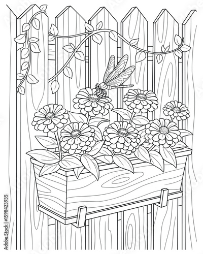 Zinnia flowers in wooden fence planter with dragonfly – detailed floral garden line art for coloring