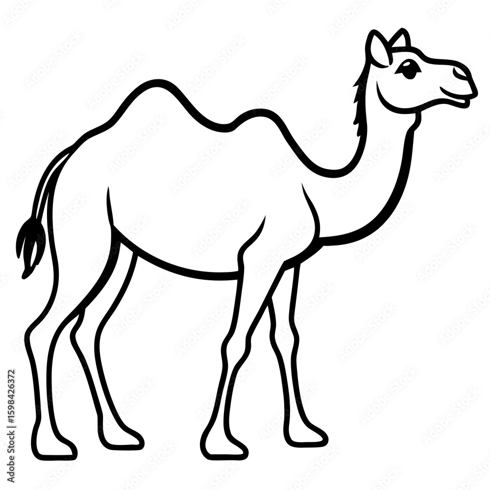 Fototapeta premium camel vector illustration isolated on transparent background