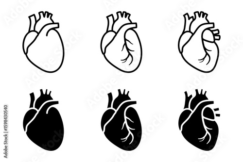 Human Heart icon set. A simple illustration of human heart anatomy in two styles. One is a simple line outline, another is a solid black fill.