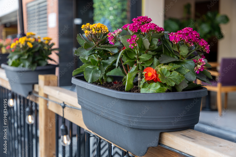 Fototapeta premium Restaurant patio fence with flower pots in summer. Outdoor cafe terrace with fresh flowers