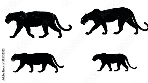 Black panther silhouette walking jaguar animal feline predator wildlife cat mammal dark wildcat design