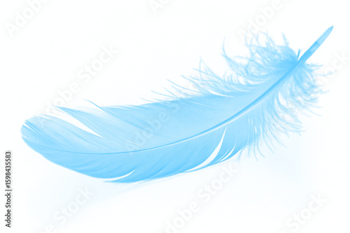 Wallpaper Mural A beautiful, soft light blue feather isolated on a clean white background. The single, delicate plume has a fluffy texture and a gentle, airy quality. Torontodigital.ca