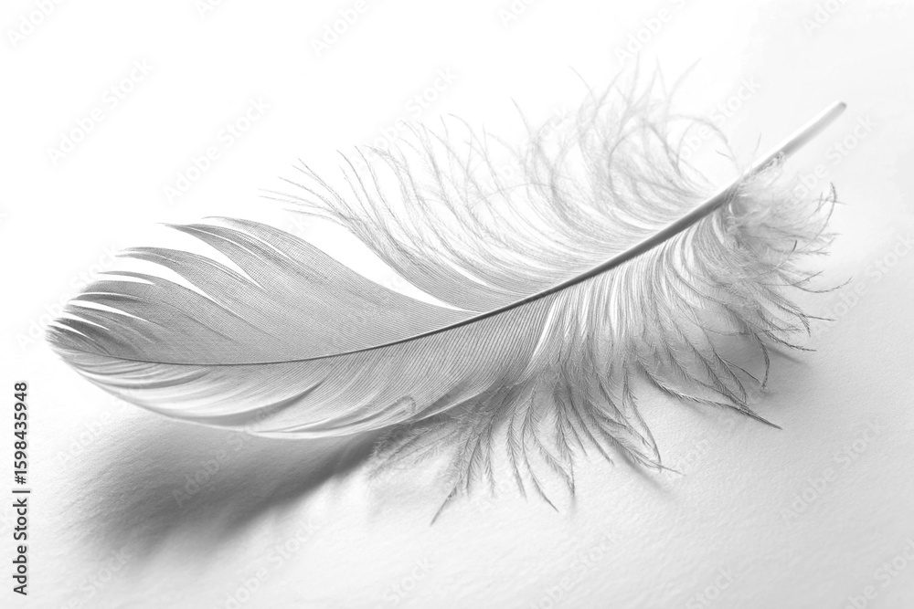 Obraz premium A single, soft white feather rests on a clean background. This monochrome macro shot captures the delicate, fluffy texture, symbolizing purity and lightness.