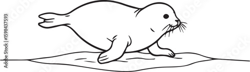 Line art of a playful baby seal sliding on ice, minimal details with bold black lines, white background,