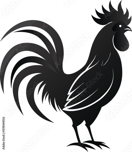 Silhouette of a proud black rooster standing with its tail feathers fanned