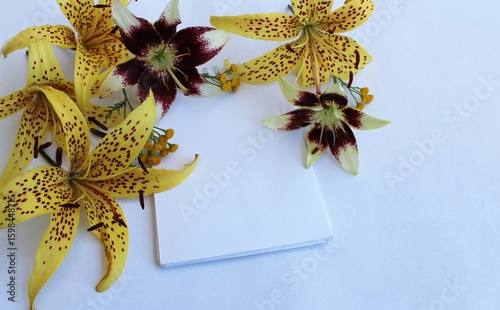 Yellow lilies and a greeting card on a white background with a place for text.