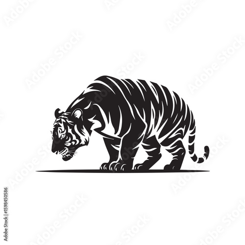 Powerful black and white illustration of a tiger crouching