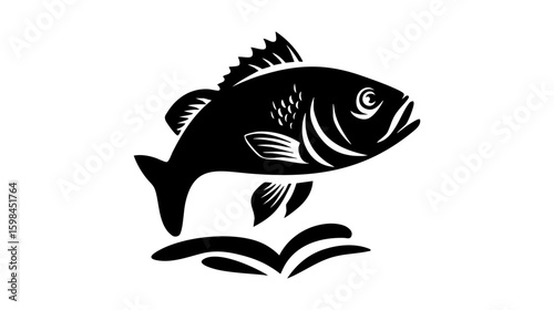 Tilapia fish vector illustration design, illustration isolated  on a white background.