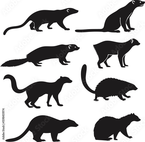 Silhouette Showcase Diverse Mustelid Family Portrayal of Ferrets and Related Mammals, Standing and Sitting in Elegant Black Shapes