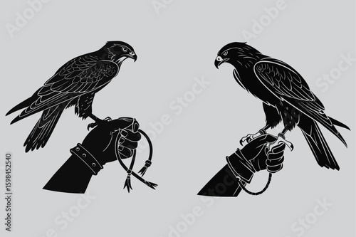Falcon perched on gloved hand silhouette vector design art and illustration