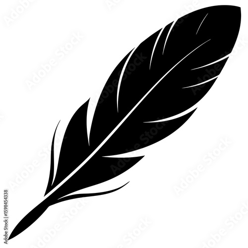 vector illustration of feather