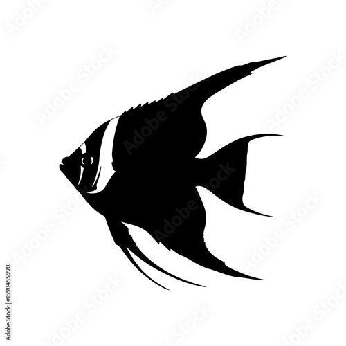 Isolated black and white silhouette of an angelfish swimming in the water