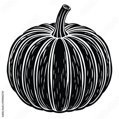 Black pumpkin with ribbed texture and stem vector