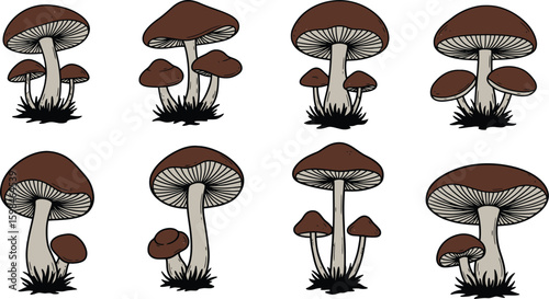 Vector art of brown mushrooms isolated on white background, a collection of handdrawn fungi for culinary or botanical projects