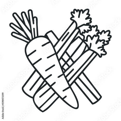 Carrot and celery sticks outline drawing with leaves and roots in black and white. Vector illustration