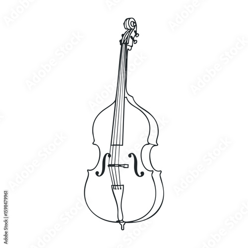 Double bass outline drawing front view black and white musical instrument illustration. Vector illustration