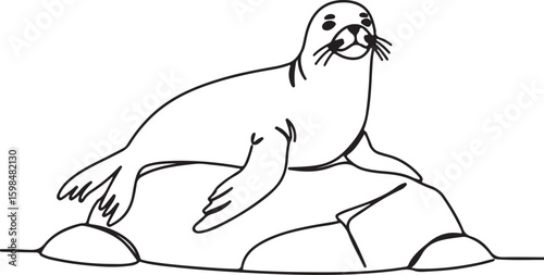 Single-line drawing of a relaxed seal lying on a rock, black and white vector illustration for kids' learning material,