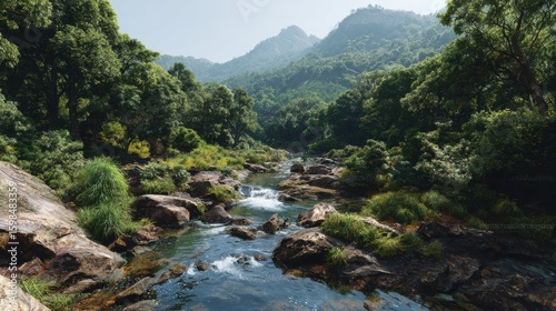 Panorama of a tranquil mountain river flowing through lush green jungle in Goa, India, jungle, mountain, river, Goa, India