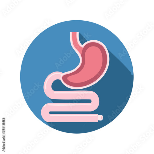 Stylized stomach and intestines icon on blue circle for medicine or health projects, showing digestion process