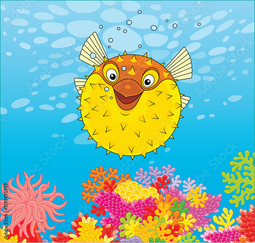 Exotic puffer fish swimming over colorful corals in blue water of a tropical reef in a warm southern sea, vector cartoon illustration