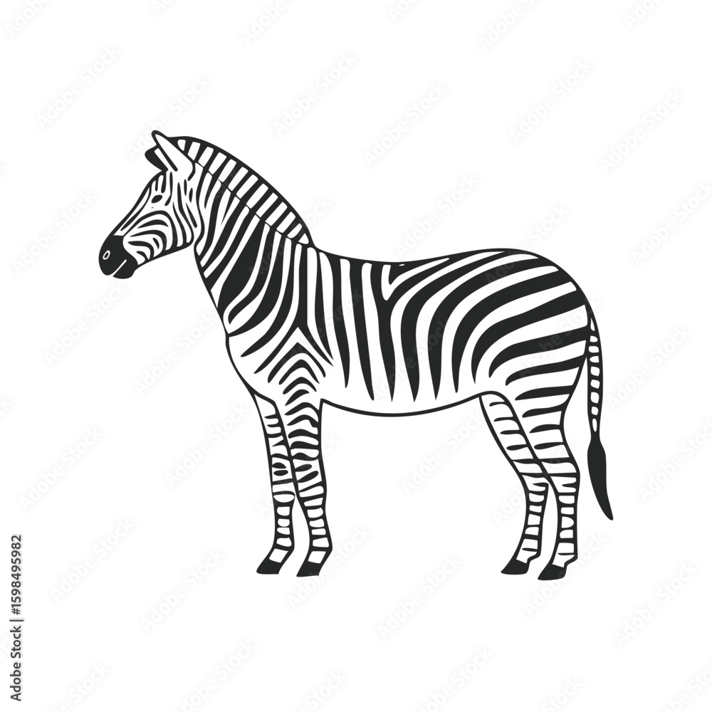 Fototapeta premium Zebra standing side view black and white illustration isolated on background