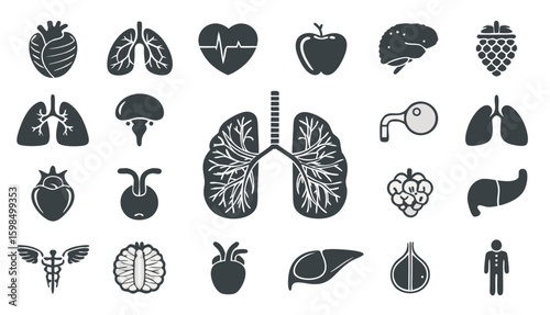 Medical Anatomy Icon Set - Lungs, Heart & Human Organs

